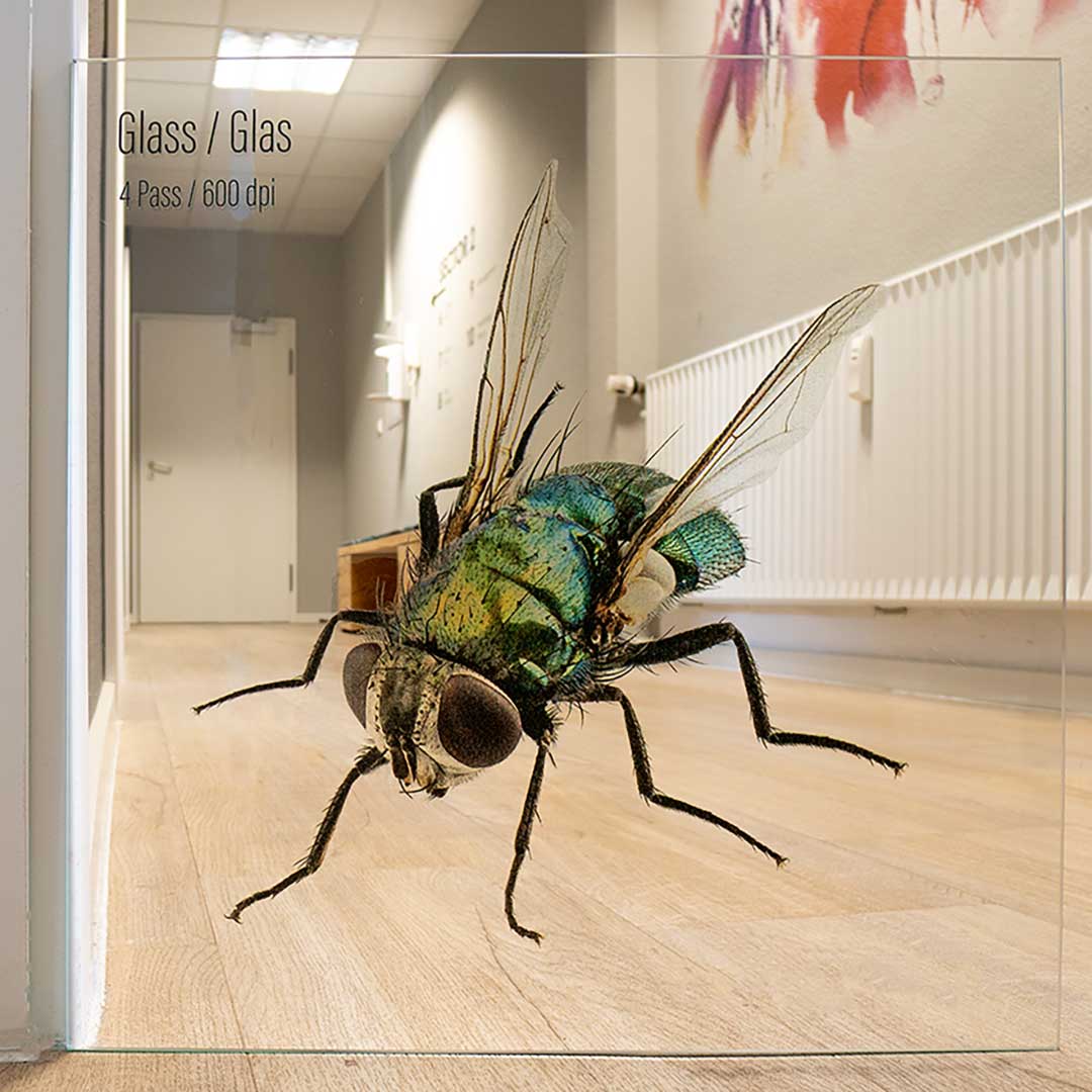 Glass Display